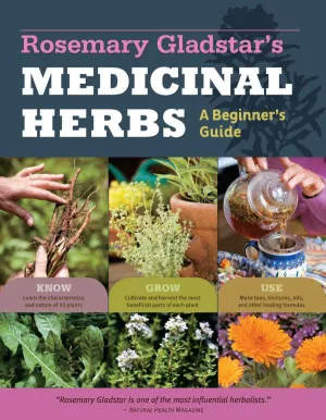 Medicinal Herbs: A Beginner's Guide